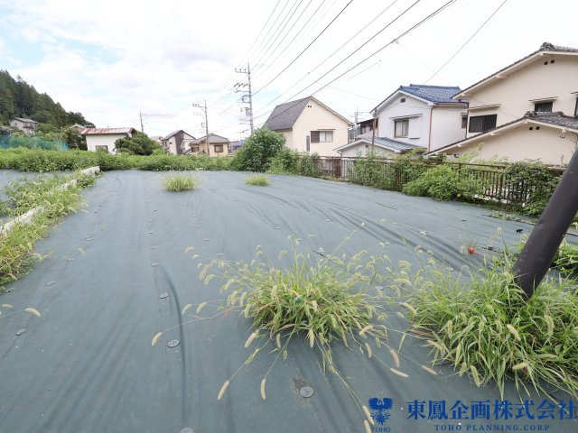 撮影日：令和8年8月
