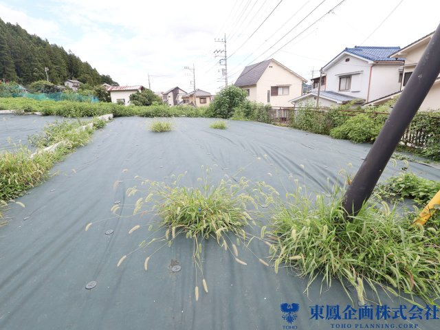撮影日：令和8年8月