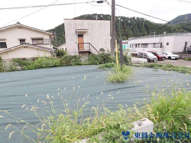 撮影日：令和8年8月