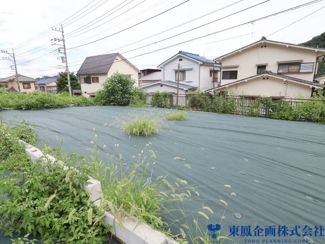 撮影日：令和8年8月