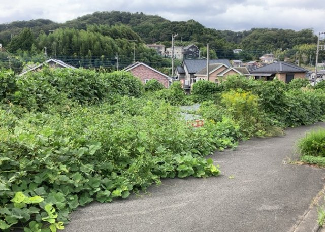 外観：314002486331