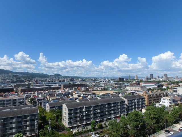 展望
