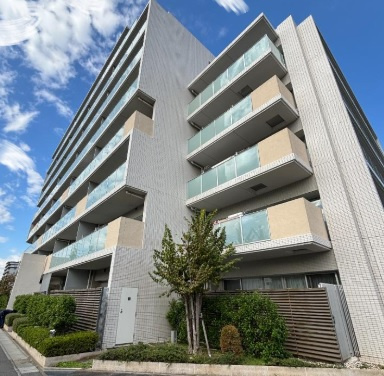 外観：311002339411