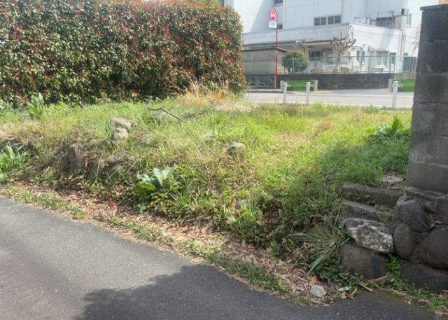 外観：313004671921