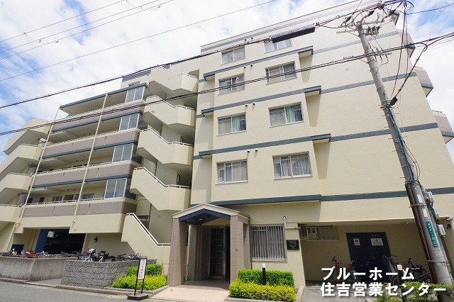 外観：327002172895