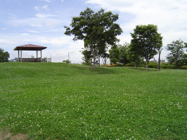 田島公園徒歩5分