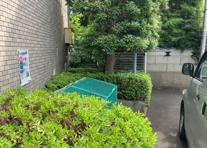 庭