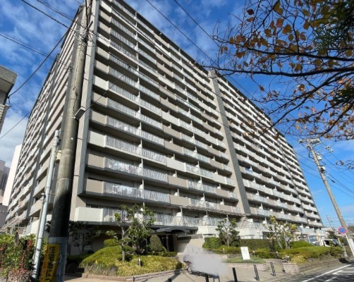 外観：312001247523