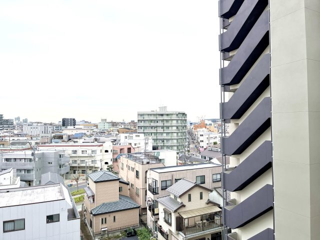 展望