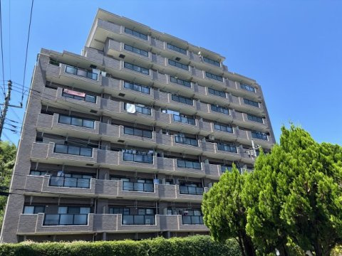 外観：313004662954