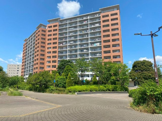 外観：313004652785