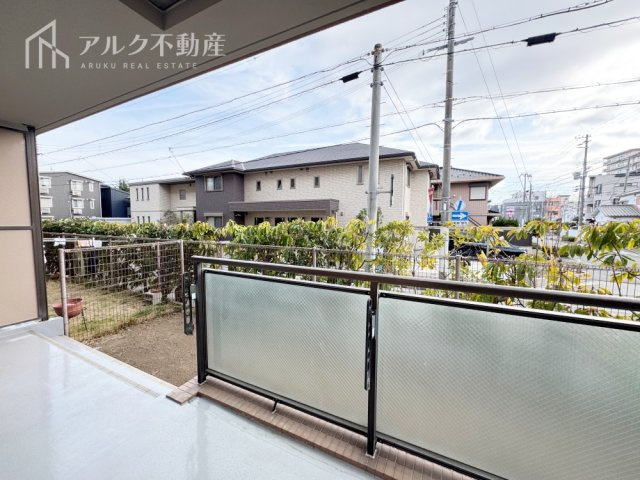 2026年3月撮影