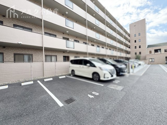 2026年3月撮影