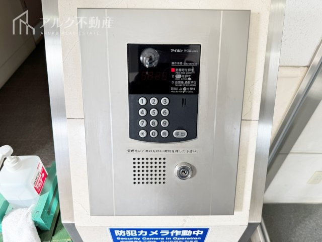 2026年3月撮影