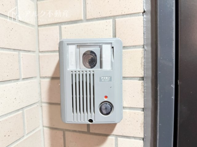 2026年3月撮影