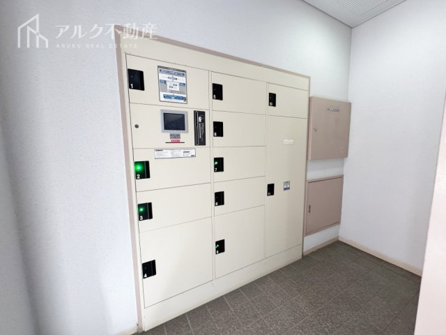 2026年3月撮影