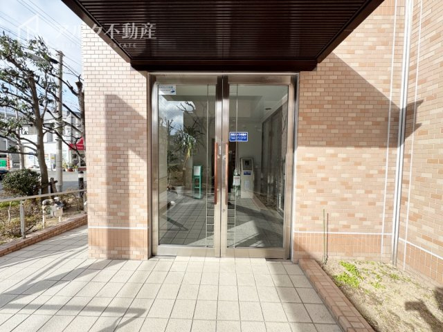2026年3月撮影