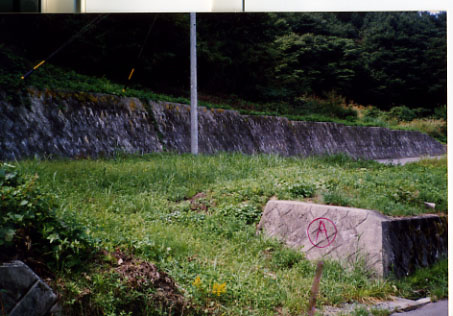 外観：320000026878