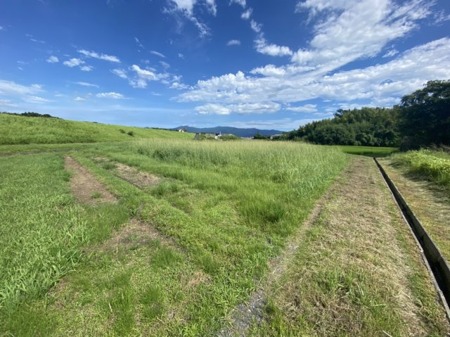 外観：346000032559