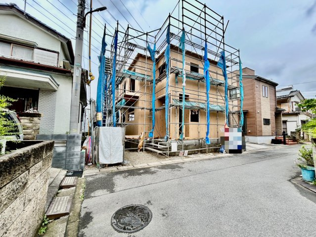 2026年6月下旬撮影