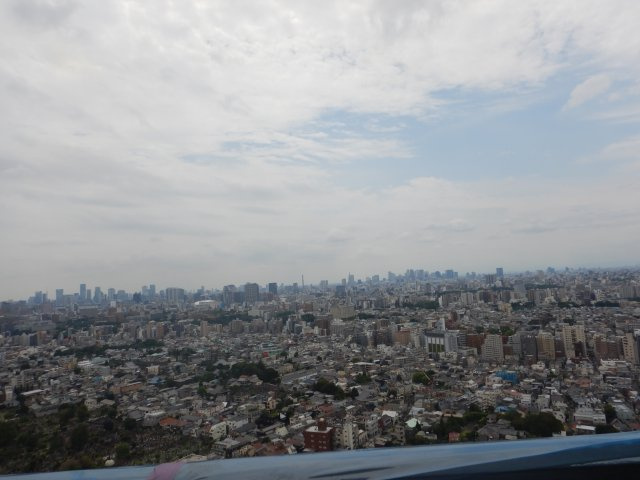 展望