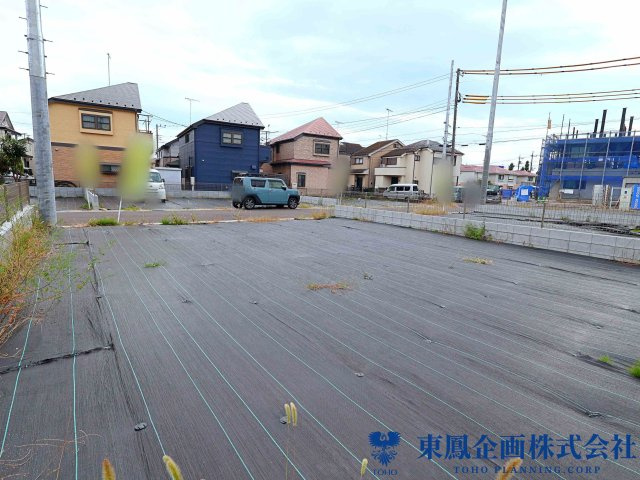 撮影日：2026年10月