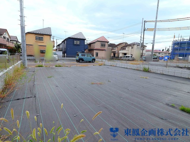 撮影日：2026年10月