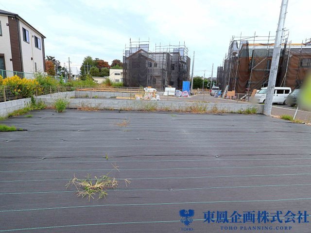 撮影日：2026年10月