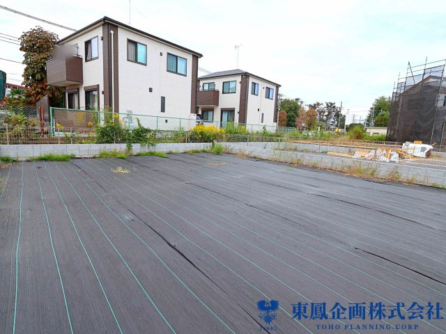 撮影日：2026年10月