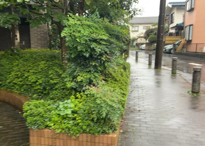 敷地内に設けられた落ち着きある中庭スペースです。日勤管理体制のもとで整えられており、居住者同士のコミュニケーションや憩いの場としても活用いただけます。敷地全体にゆとりを感じさせる設計です。