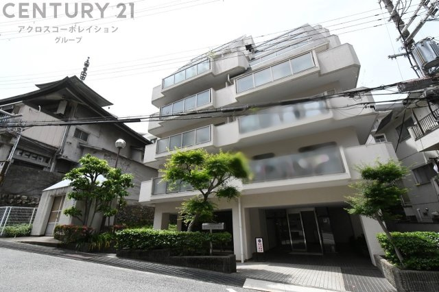 外観：328000484599