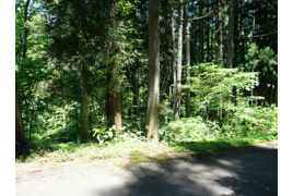 荘川ビレッジ⑦の外観