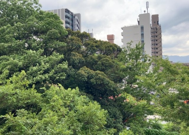 眺望の良さを楽しめるダイニングキッチンで家族団らんの時間を過ごしてはいかがでしょうか。バルコニーから見える景色を家族で眺める時間は、時間が経つのを忘れてしまいそうですね。是非、現地を見に行きましょう！