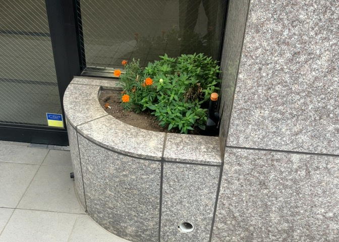 中庭（パティオ）とは、一つの建築物の内部に設けられた、壁などで囲われている庭のことを指します。コの字型、ロの字型が主流ですが、L字型の中庭もあります。最近では、インテリア性の高さからも人気があります。