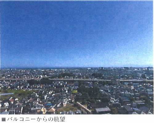展望
