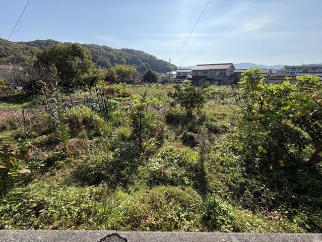 外観：334000231557