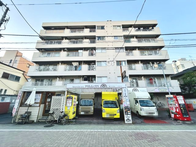 外観：313004700717