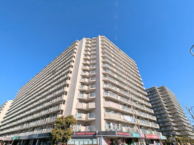 外観：313004681145