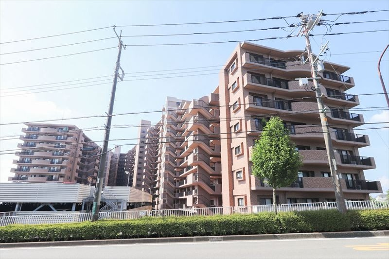 外観：313004438392