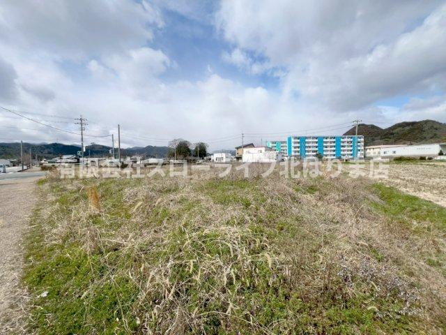 外観：328000624629