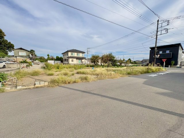 外観：311002198293