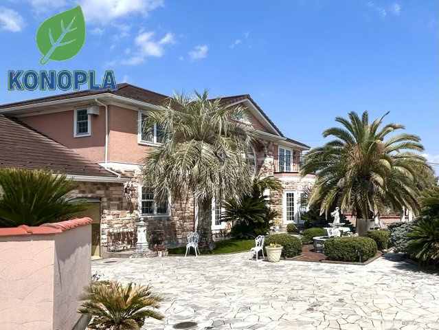 外観：310000088886