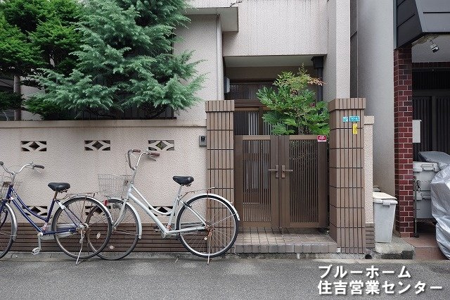 別角度からの写真です！
