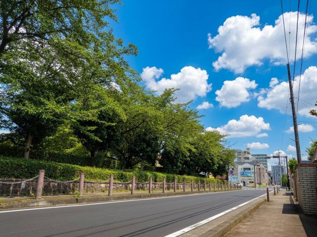 前面道路含む現地写真