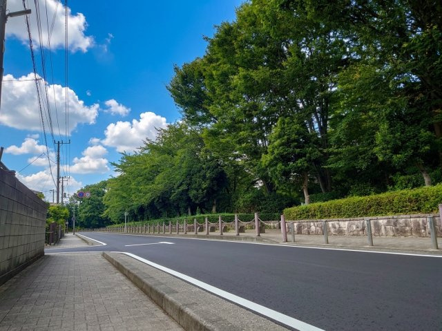 前面道路含む現地写真