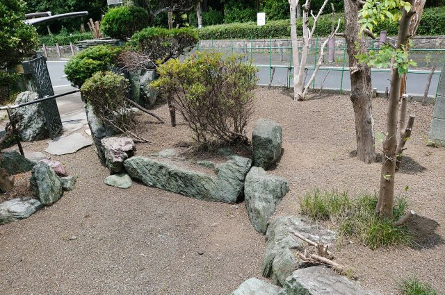 庭