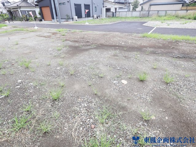 2026年7月　撮影