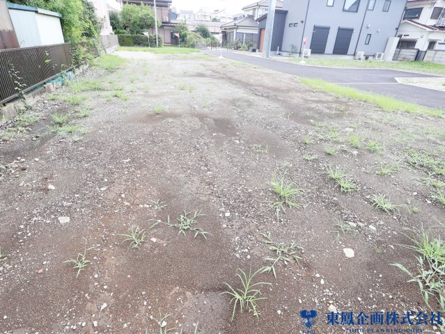 2026年7月　撮影
