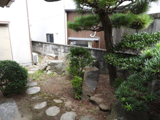 庭