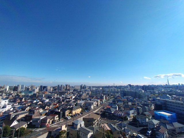 展望